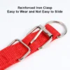 Nylon Collar for Dogs and Cats